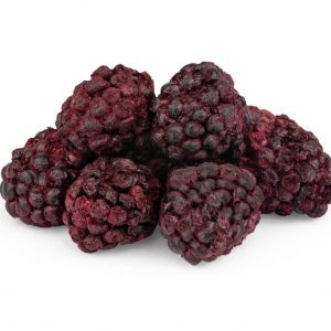 Freeze-Dried Blackberries