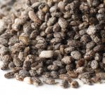 Organic Sprouted Black Chia