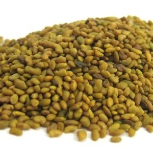 Organic Alfalfa Seed