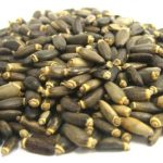 Organic Milk Thistle Seeds